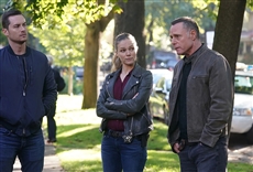 Marat&oacute;n Chicago P.D.