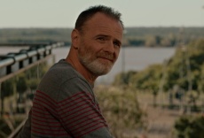 Perros del viento