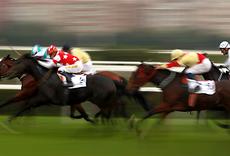 King George VI & QE Stakes