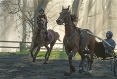 Zoe y Tempestad