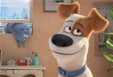La vida secreta de tus mascotas